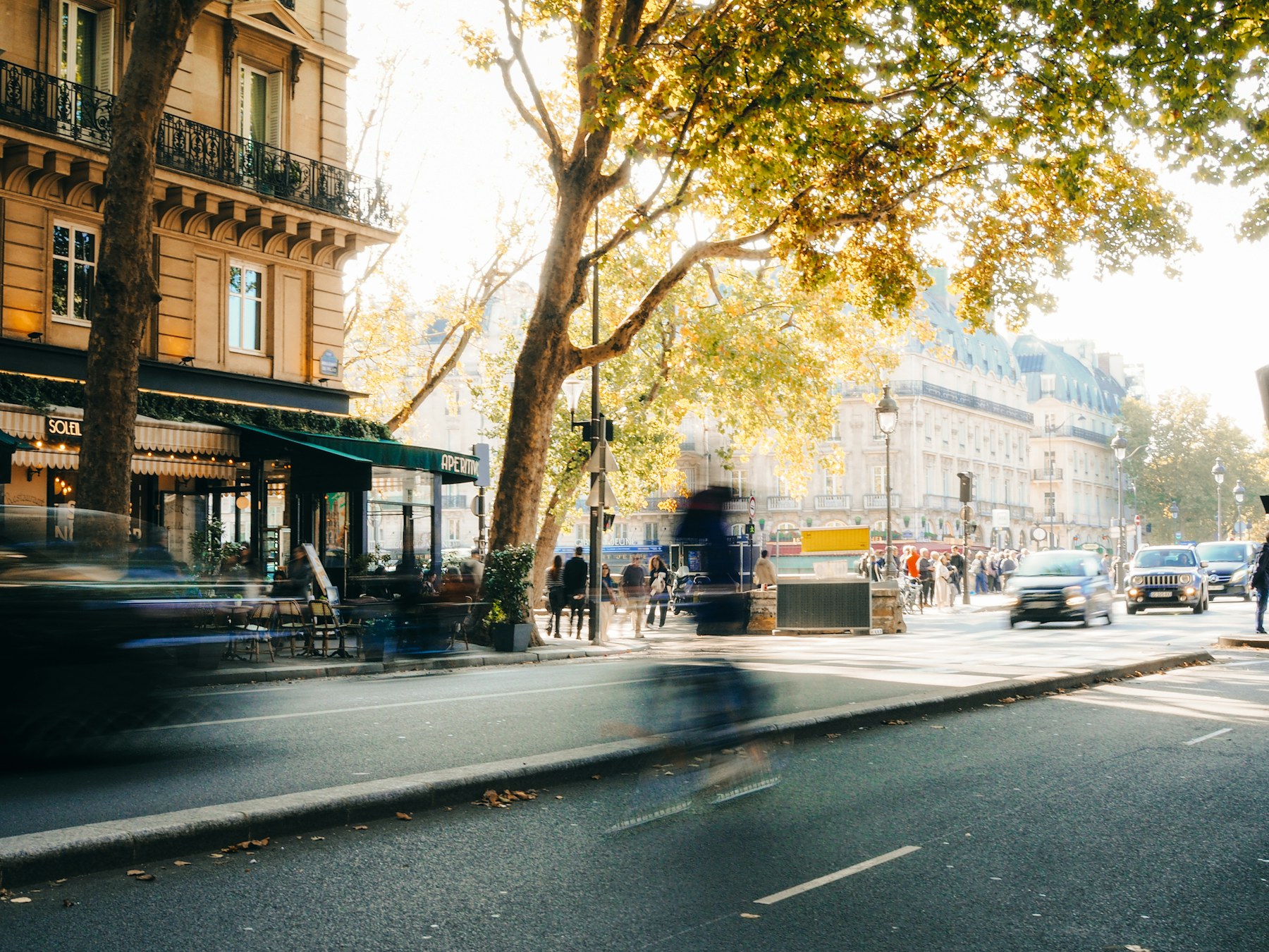 Pedestrians and traffic share a tree-lined city street in Paris